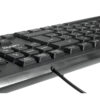 Teclado USB Dinax DX-TEC300 - vista del cable