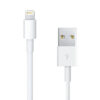 Cable USB a Lightning 2 metros - extremos