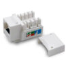 Jack conector RJ45 Cat6 hembra universal autocrimpeable - vista destapado Jack conector RJ45 Cat6 hembra universal autocrimpeable - vista destapado
